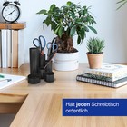 Afbeelding 5 van 6