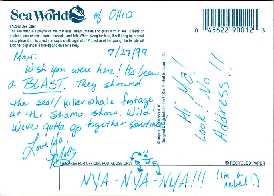 Parque Temático Sea Otter at Sea World - Postal Cromada 4x6 - Parques de Atracciones Foto 2 de 2