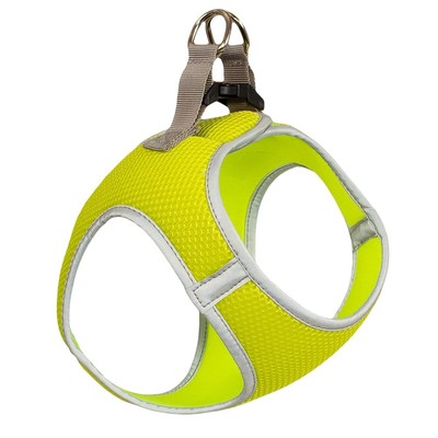 Mesh Dog Harness, Breathable Dog Harness, No-Choke Dog Harness, Air Mesh Harn...