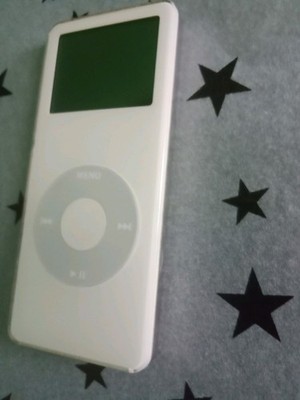 Apple iPod Classic Nano 1st Gen 1 GB White 2005 Original Battery