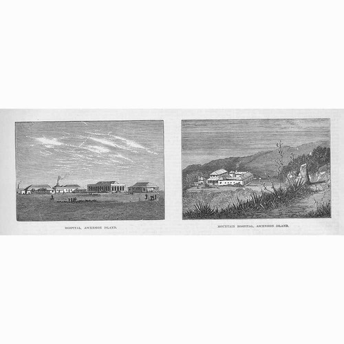 ASCENSION ISLAND Hospital & Mountain Hospital - Antique Print 1874