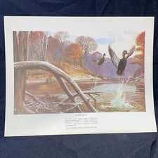 Remington Sportsmen's Black Duck Lithograph Fine Print USA