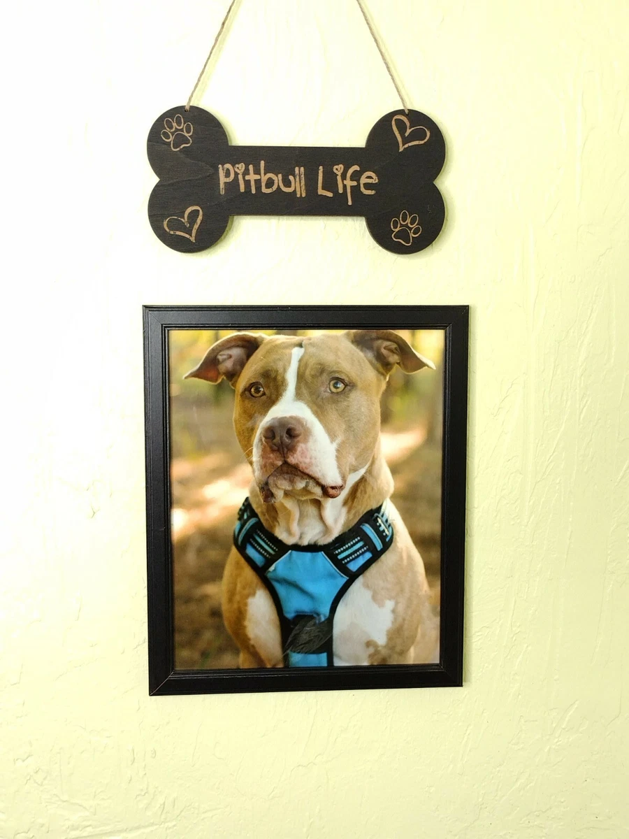 Pitbull Life Dog Bone Wood Dog Bone Cutout Cute Dog Stuff Paw Print Heart