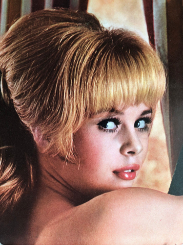 1967 Playboy Miss January Surrey Marshe Centerfold and Pictorial only