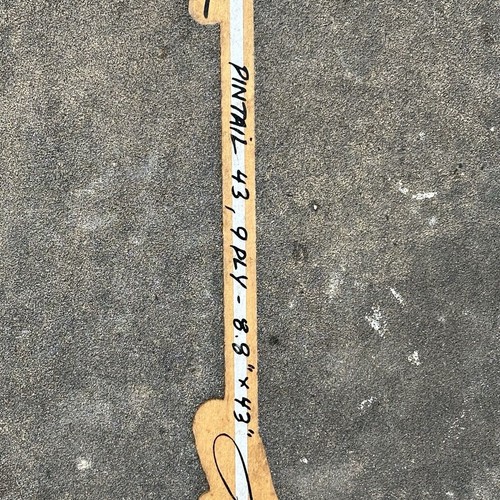 Jay Alders LONGBOARD Original PINTAIL 43, 9 Ply 8.8" x 43" Boy Surfer Skateboard - Picture 3 of 24