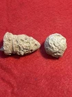 Civil War Chewed Bullet Lot Dug - Richmond, Virginia