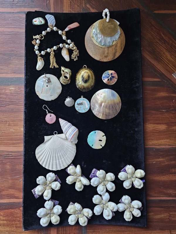 Job Lot Shells Mop Abalone Enamel Pendants Bracelet Beach Upcycle Craft Wear 21p