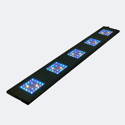 Reefbreeders Meridian 63 LED - Shallow Reef