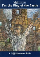 I'm the King of the Castle (Letts Exp... by Mertin, Stewart Paperback / softback