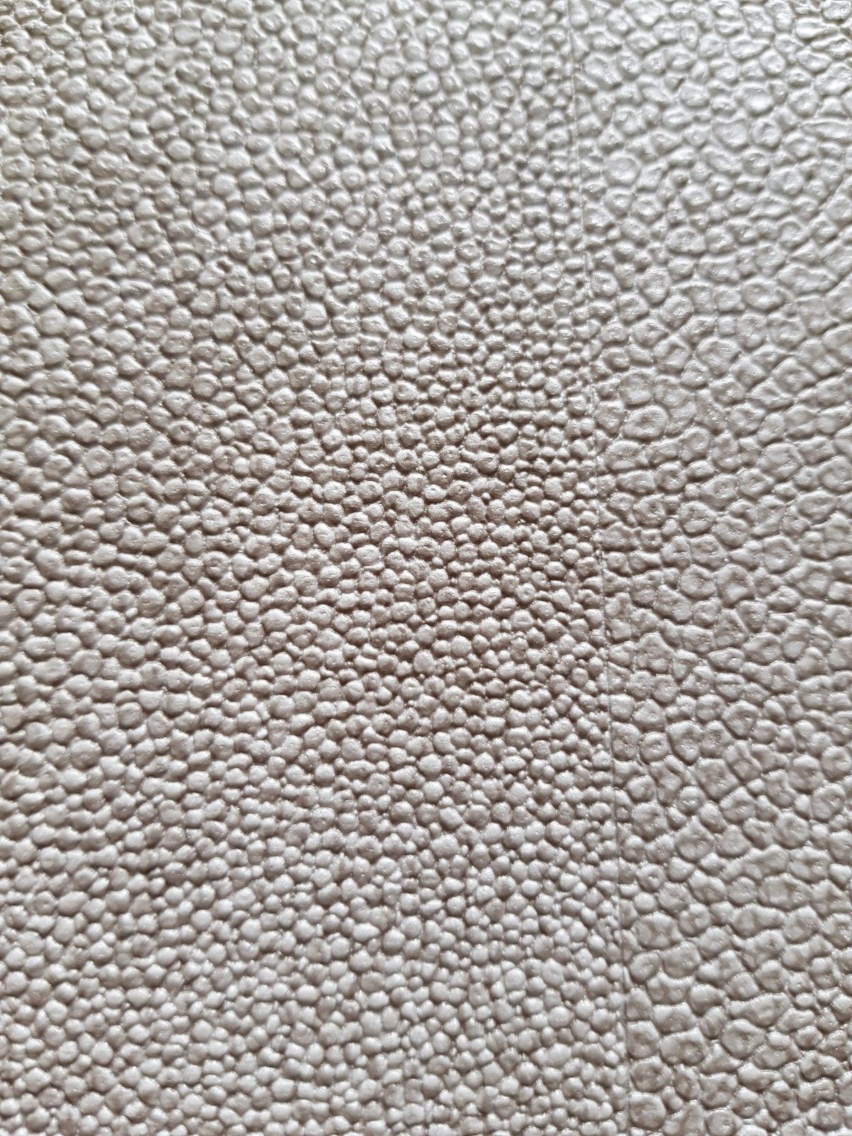 Foto 5 di 5