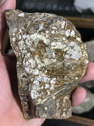 Wild Horse Magnesite 13lb Rough High Grade Awesome Spiderweb Pattern Arizona Gem - Picture 12 of 16
