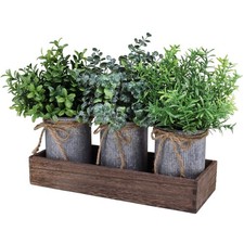 Set of 3 Mini Potted Plants Arrangement Faux Boxwood Eucalyptus Rosemary Plan...