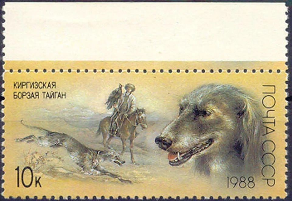 Unión Soviética 1988 10 K. Galgo Kirguís Excelente U/M Variedad FALTA COLOR Foto 3 de 3