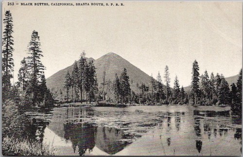 1910s CALIFORNIA Railroad Postcard 