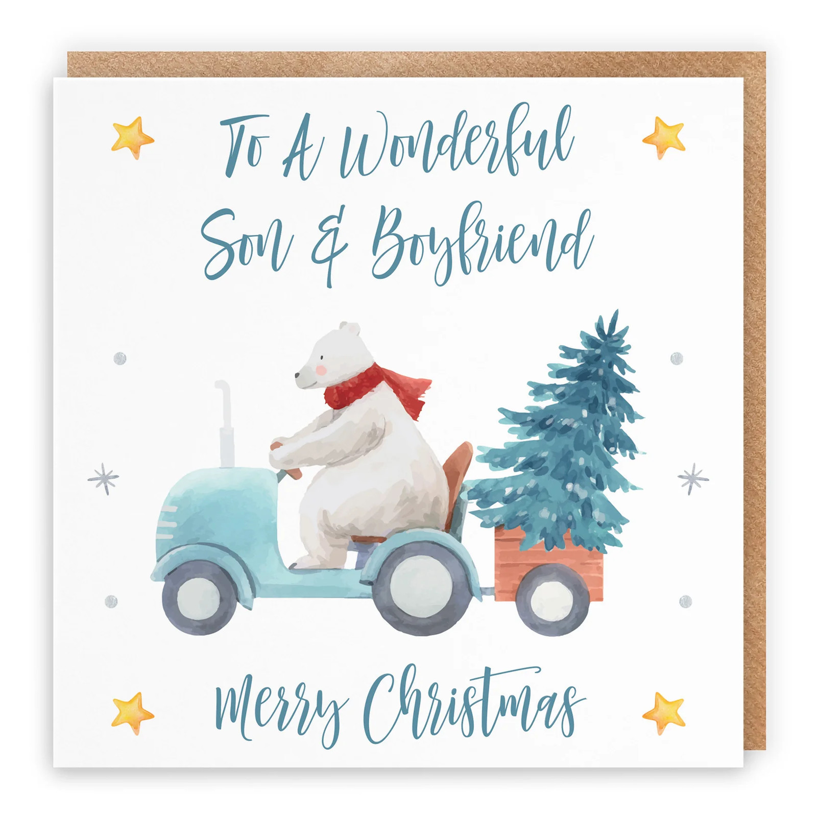 Son And Boyfriend Polar Bear Christmas Card