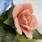 Bild 9 von 10