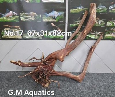 Schwarz Baumstumpf Holz No 17 67x31x82 cm