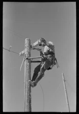 8" x 10"  1940 Photo Lineman on telephone pole at the Casa Grande Valley