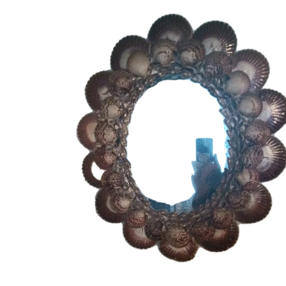 Espejo de concha marina natural de colección decoración de playa costera 21 ” X 17,5” carcasa real delegada Foto 3 de 4