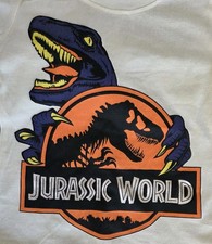 JURASSIC WORLD SIZE 4 TWO Pc Pant Set. Tee Shirt  Joggers Bnwt