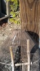Bild 20 von 24