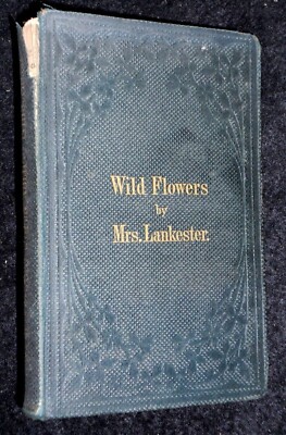 Wild Flowers Worth Notice (1861-1st) Mrs Lankester - J E Sowerby Illustrated
