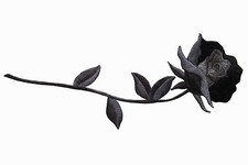  3816C 9"H Black,Grey Rose Flower Embroidery Iron On Applique Patch