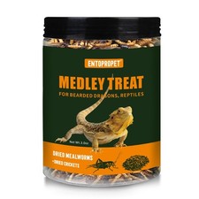 Dried Mealworms and Dried Crickets - Higher in Calcium and Richer in Protein-...