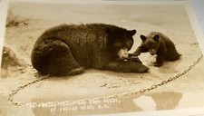  on The Hot Collector