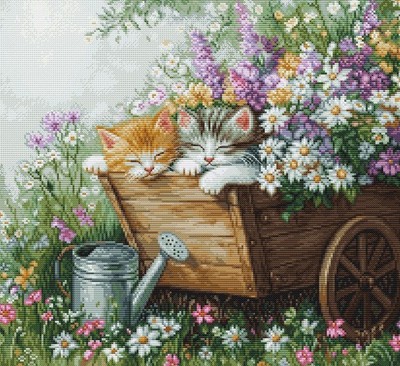 Kittens Sleep BU5093L Counted Cross-Stitch Kit