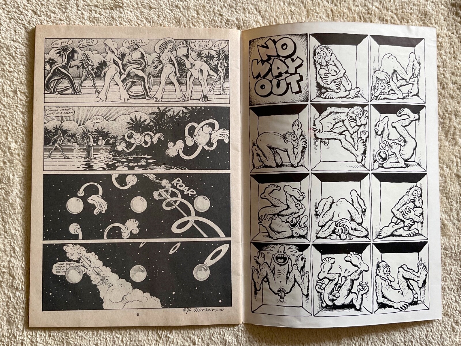 Picture 11 of 11