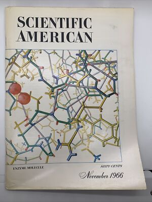 Scientific American 1966 November Enzyme Molecule Homo Erectus Acetabularia 