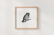 Disegno uccellino originale 21x21 cm schizzo fodera fine SENZA CORNICE 