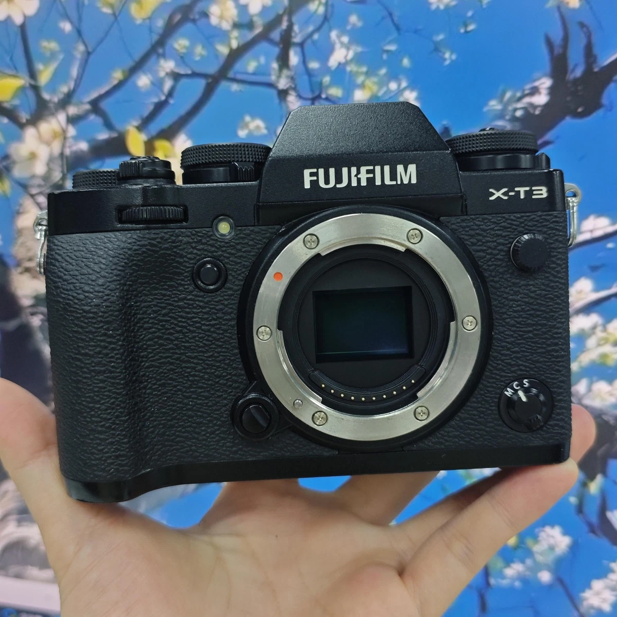 デジタルカメラ Fujifilm XT3 + Lenses PRICE REDUCED Fujifilm X T3 Digital Cameras with Interchangeable Lenses for Sale