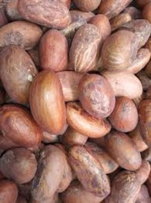 Premium Nigerian Bitter Kola   Natural Herbal Seed   Retail & Bulk Export