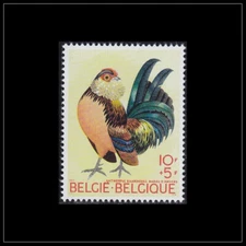 Belgium 1969 (1513) Chicken