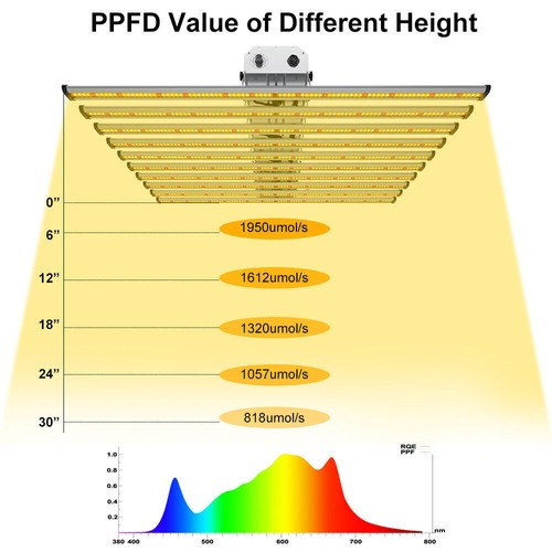 800W Full spectrum LED Commercial Grow Light 6.5x6ft Dimmable Indoor Plant Lamp - Picture 8 of 12