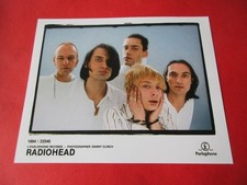 RADIOHEAD THOM YORKE  10x8 inch Photograph Photo #7730