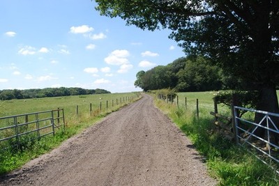 Foto A2 Spur zu Curtis's Farm Faygate c2012
