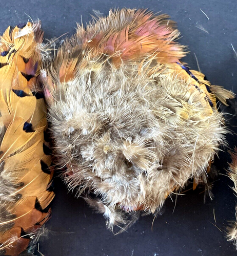 Misc Lot 9 exotic feathers pheasant rooster multi color fly fishing tying - Picture 7 of 14