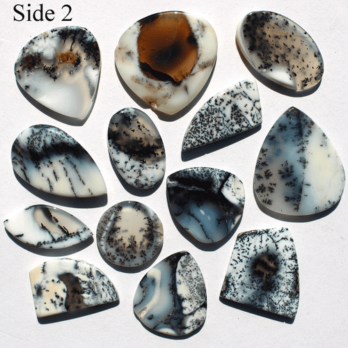 13 Pcs Australian Natural Dendrite Opal 15mm-25mm Slice Cabochon Loose Gemstones - Picture 8 of 11