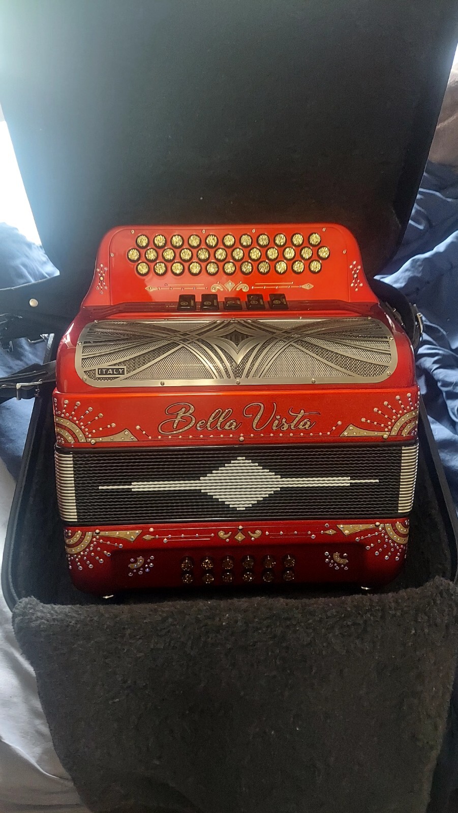 Diatonic Accordion eBay