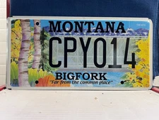 BIG FOR  FAR FROM THE COMMON PLACE   MONTANA LICENSE PLATE
