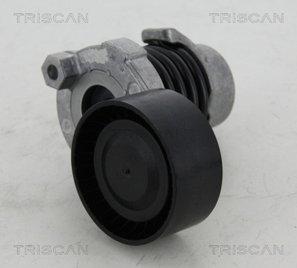 Triscan Riemenspanner Keilrippenriemen 8641 253012 FüR Renault MCV Dacia Megane-image