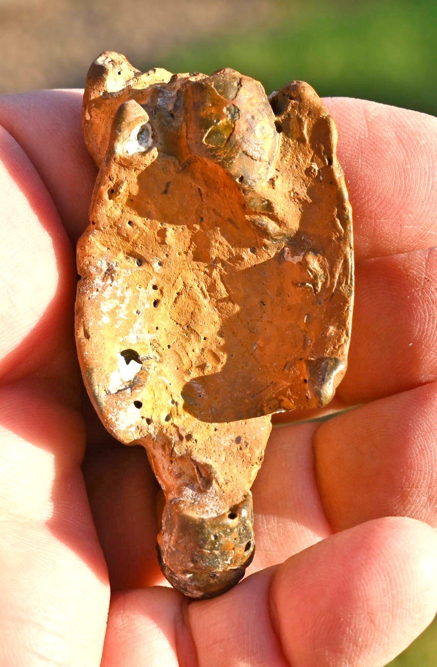 Thalassina anomala, Fossil Lobster, Gunn Point, Australia #1