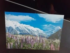 vintage postcard summer mt cook national park new zealand