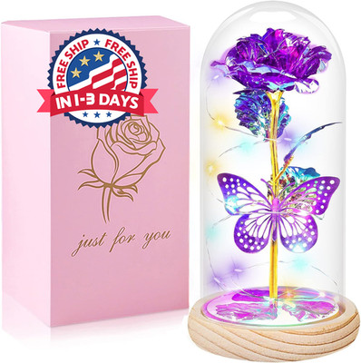 Regalos De Flores De Rosa Morada Para Mujeres simbolizan amor, nobleza, misterio