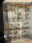 200+ Lot Of Rmc Vintage Disc Capacitors All Brand New Varying R & V