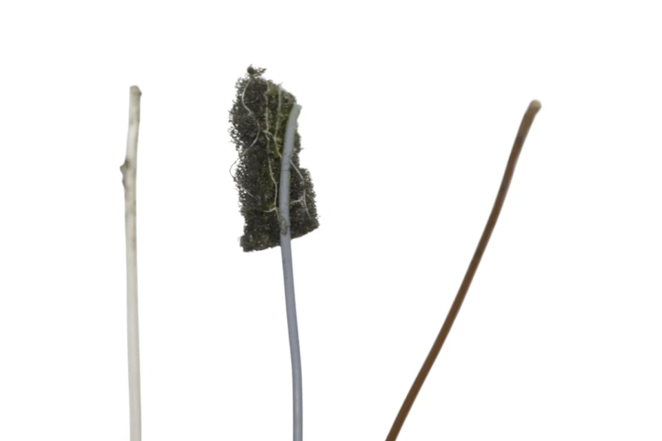 Conjunto de espejo retrovisor interior delantero Ferrari 488 2016-2020 OEM Foto 4 de 4