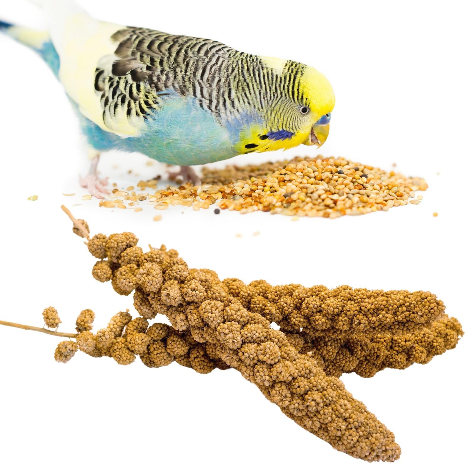 - 200 Gram Vacuum Sealed Millet Treat For Birds Parak...